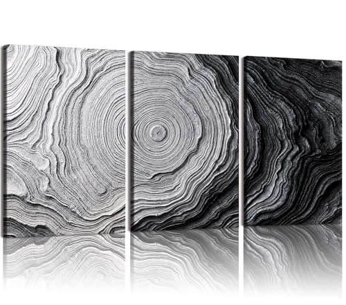 Kdyudo Modern minimalist abstract wall art - color: Black and white textured tree rings, size: 12x16 Inch
