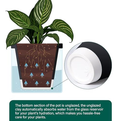 D'vine Dev Self-Watering Black Terracotta Planter Pot, 10 in, 37-X-D-3 - color: Black, size: 10 Inch