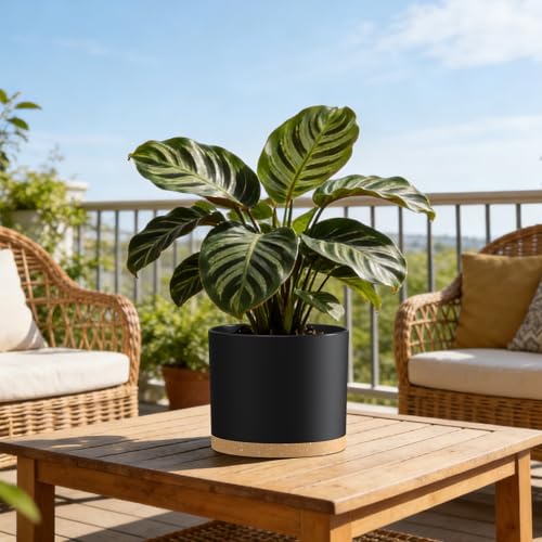 Plant Pots, 10/9/8 Inch 3 Pack Cylindrical Flower Pots with Drainage Holes and Saucers, Plastic Planters for Outdoor Indoor Plants,Black Brown - color: Black With Brown