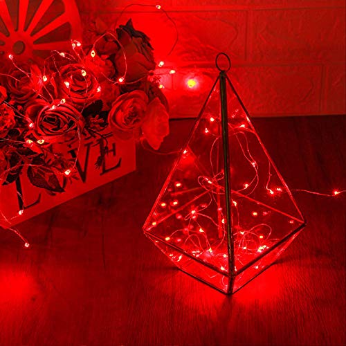 RUICHEN Fairy Lights Plug in, Silver Wire 33 Ft 100 LED String Lights, Red - color: Red