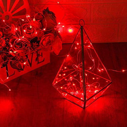 RUICHEN Fairy Lights Plug in, Silver Wire 33 Ft 100 LED String Lights, Red - color: Red