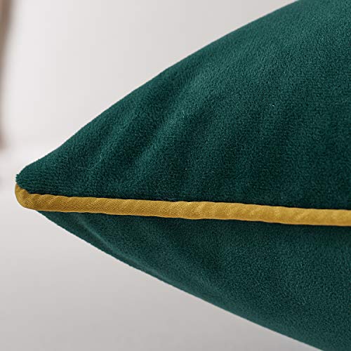 Avigers Throw Pillow Cover 20 x 20 Inch, Green, Velvet, Hidden Zipper - color: Green, size: 20" x 20" (Pack of 1)