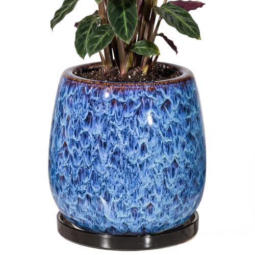 10.3 Inch Ceramic Glaze Plant Pot with Saucer, Flower Pots with Drainage Hole Mesh Net (Blue) - color: Blue