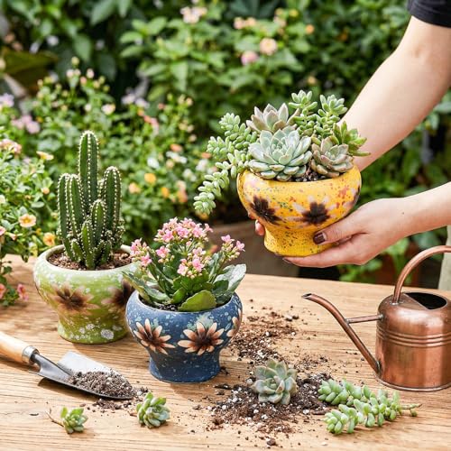 4" Small Succulent Planters with Drainage, Cute Ceramic Pot Set of 4