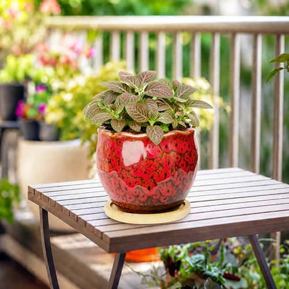 ARTKETTY Succulent Pots, 4 Pack Small Plant Pots with Drainage Tray - color: 4'' Colorful 2