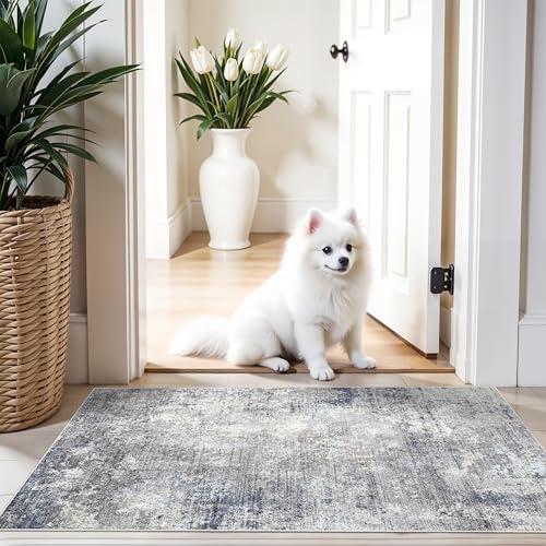2x4 Runner Rug Washable Non-Slip – Small Throw Rug for Kitchen Floor, Bedroom, Entryway, Bathroom, Bedside – Modern Abstract Neutral Low-Pile Thin Indoor Door Mat（Blue Grey,2x4） - color: Blue Gray, size: 2' x 4' (Rectangular)