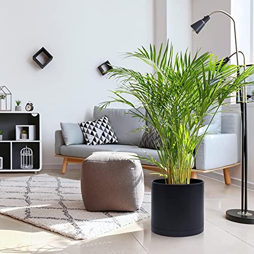 D'vine Dev Plastic Planter Pot with Saucer, 12 in, Black, 74-X-B-3 - color: Matte Black, size: 12 Inch