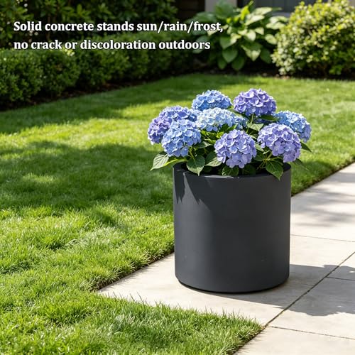 Kante Small Round Cylinder Charcoal Concrete Planter 9.8" Tall, Outdoor - color: Charcoal, size: 9.8" Dia
