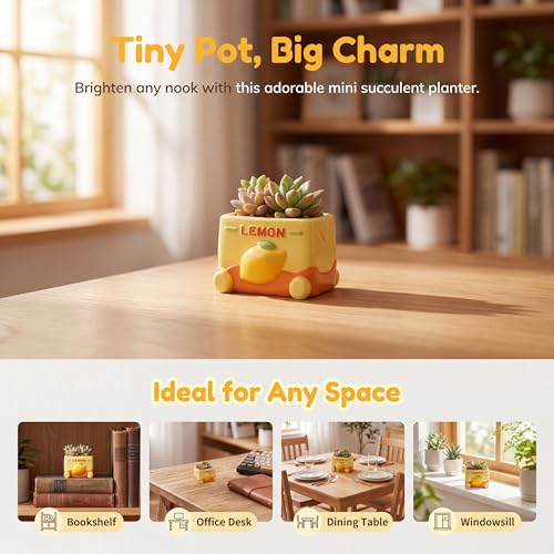Cloud-Shaped Small Succulent Planters, 3.4''Dog Cute Plant Pots with Drainage Holes Funny Mini Resin Flower Pots for Indoor Outdoor Home Office Gifts (Mini B) - style: Mini B