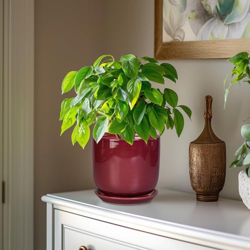 Ceramic Planter for Plants, Round Modern 7 Inch Plant Pot, Red - color: Red, size: 7 Inch