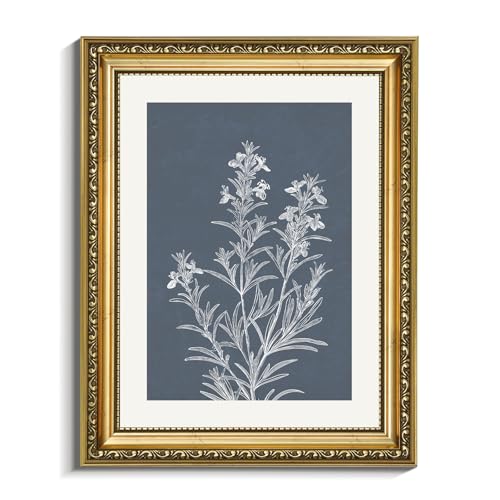 VIYYIEA Gold Framed Botanical Wall Art, 11x14 Vintage Blue Botanical Illustration Canvas Print, Minimalist Floral Line Drawing Artwork for Bathroom Bedroom Living Room, Classic Farmhouse Home Decor - color: Blue Background Rosemary Sketch, size: 14"L x 11