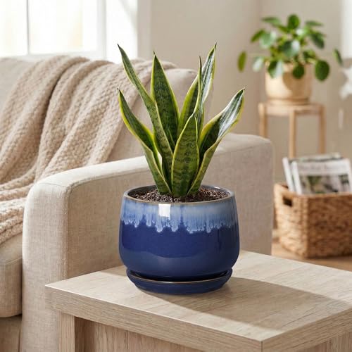 Ceramic Flower Pots, 6 Inch Plant Pot Indoor with Saucer, Deep Blue - size: 6 Inch, style: Deep Blue