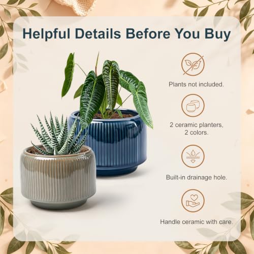 6 Inch Ceramic Plant Pots Set of 2 with Drainage Hole for Indoor Plants - color: Navy & Taupe