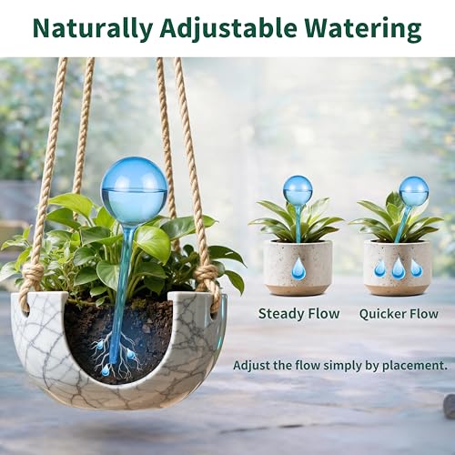 6-Pack Small Plastic Plant Watering Globes, Self Watering Spikes - size: S - 6 Pack