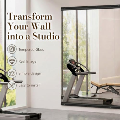 brisafe Home Gym Mirror, 72"x24" Tempered Glass Wall-Mounted Mirror - size: 72"L X 42"W, 2 PCS