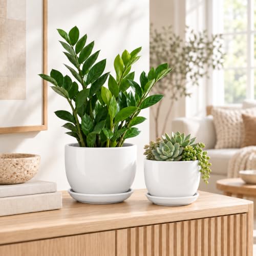 6.7 + 5.5 Inch Ceramic Plant Pot with Drainage and Saucer - size: 6.7 + 5.5 Inch 2 Pcs