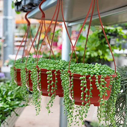 Roshtia 24 Pcs Hanging Planter Pot with Hook, Brown, 6.7 Inch - color: Brown, size: 6.7 Inch