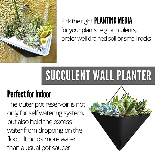 LaLaGreen Wall Planter for Indoor (12in, 4 Pack) Large Self Watering Plants - color: Black X 4 Pack
