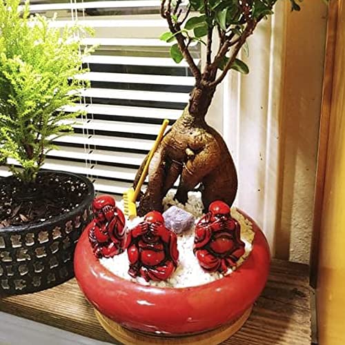 Succulent Pots with Drainage, 7.3 Inch Ceramic Bonsai Pots for Plants - color: Red