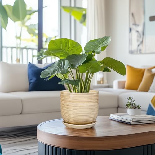 Ceramic Planter for Indoor Plants 7 Inch - Cylinder Modern Indoor Plant Pot with Drainage Hole and Saucer, Home Patio Office Bathroom Decor, Yellow - color: Stripes Yellow, size: 7 Inch