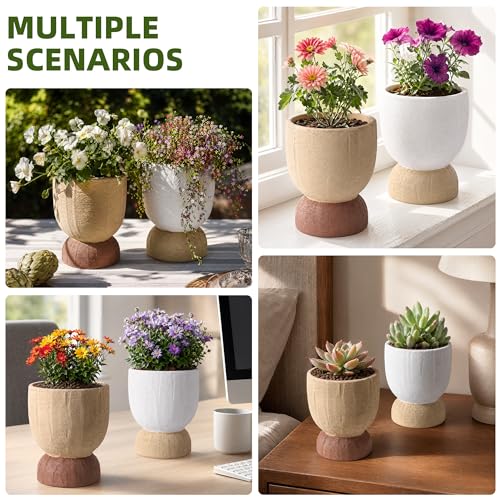 DREAMLOOM 6.4Inch Coarse-Grained Terracotta Pots for Succulents, 2Pcs Flower Planters with Drainage Holes, Bonsai, Cactus Aloe, Herbs, Orchid, Rustic Color - color: Two-tone