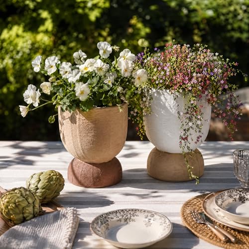 DREAMLOOM 6.4Inch Coarse-Grained Terracotta Pots for Succulents, 2Pcs Flower Planters with Drainage Holes, Bonsai, Cactus Aloe, Herbs, Orchid, Rustic Color - color: Two-tone
