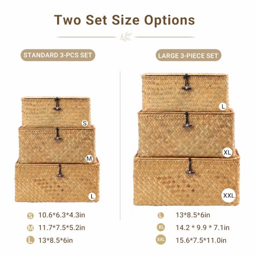 Nonam Large Wicker Basket with Lid,Seagrass Shelf Basket Set of 3,Nautral - color: Large Natural * Set of 3
