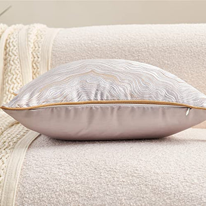 Avigers Throw Pillow Cover 20 x 20 Inch, Silver, Rayon Blend, Hidden Zipper - color: Silver, size: 20" x 20" (Pack of 1)