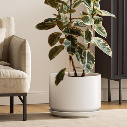 LE TAUCI 12 Inch Pots for Plants, Ceramic Planter with Saucer, White - color: White, size: 12"