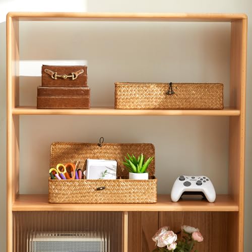 Nonam 3-Section Divided Storage Small Basket with Lid,Shelf Basket-Natural - color: 3-Divided - Natural