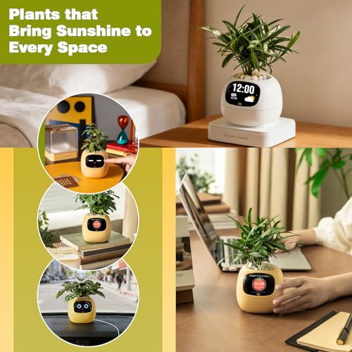 PLANTSIO Smart Plant Pot with Screen, 80ml Self-Watering Planter Yellow - color: Yellow