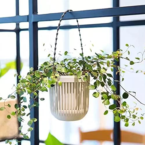 Melphoe 3.5‘’ Two-Piece Succulent Planters Pots with Drainage, Flexible Removable Handle, Flower Pots for Mini Plants, Small Hanging Planter for Wall, Window, 6 PCAK, White - color: White