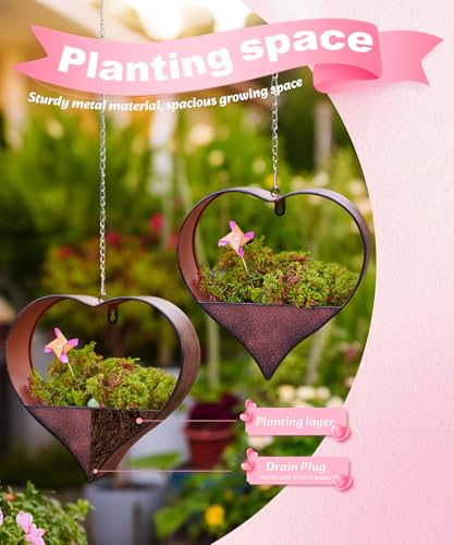 Metal Plant Hangers Indoor and Outdoor: Pots with Drainage Hole - color: Rustic Heart -2pack