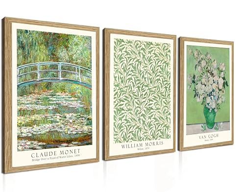 Induslyfe Framed Grass Wall Art Canvas Decor Set of 3, Matisse Wall Art Framed Prints Posters Mid Century Modern Art, Floral Botanical Wall Art for Living Room, Bathroom, Bedroom 12x16 - color: Framed Grass, size: 12"x16"