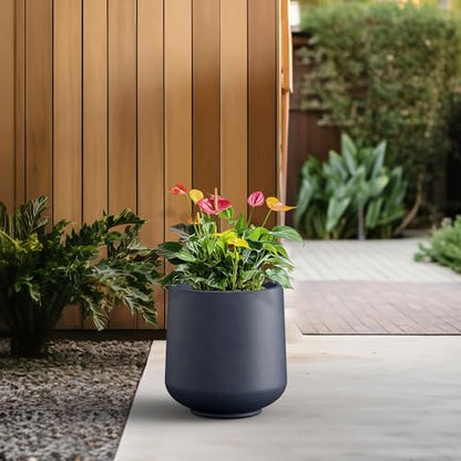 Kante Large Round Curved Charcoal Concrete Planter 16.5" Dia, Outdoor - color: Charcoal, size: 16.5" D