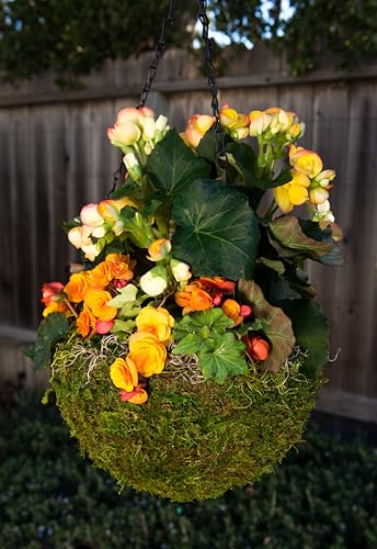 SuperMoss (29202) MossWeave Hanging Basket - Round, Fresh Green, Small (12.5 Diameter)" - size: Small (12.5" Diameter)
