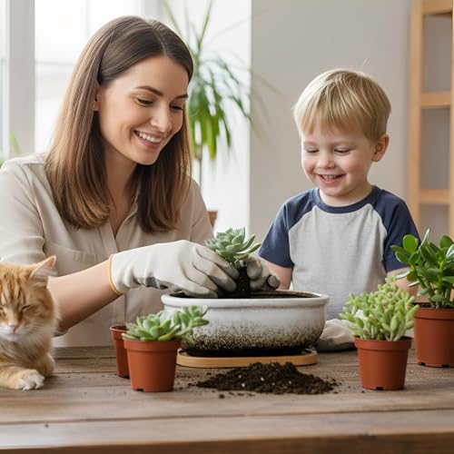 Succulent Pots, 1 Rectangle Planter + 1 Ceramic Bonsai Pots with Drain Tray - color: White
