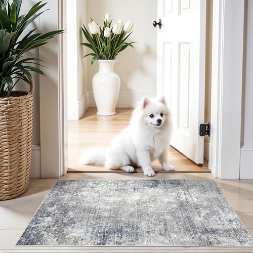 2x3 Washable Non-Slip Rug – Modern Abstract Neutral Small Throw Area Rug for Kitchen, Entryway, Bedroom – Soft Low Pile Thin Indoor Door Mat（Blue Grey,2x3） - color: Blue Gray, size: 2' x 3' (Rectangular)