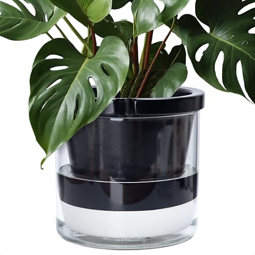 D'vine Dev Self-Watering Black Terracotta Planter Pot, 10 in, 37-X-D-3 - color: Black, size: 10 Inch