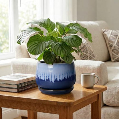 Ceramic Pots for Plants, 9 Inch Indoor Planter, Deep Blue - size: 9 Inch, style: Deep Blue