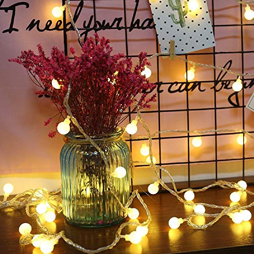Merdeco Globe, Plug in String Lights 10ft/3m 20 LED Bulb Warm White Fairy Lights for Birthday/Christmas/Wedding/Party Indoor Outdoor Decoration