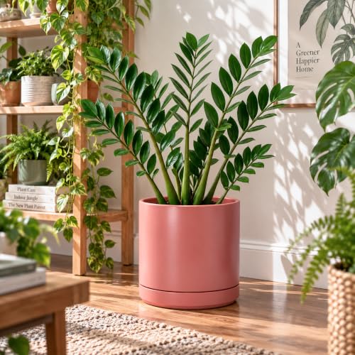 D'vine Dev 10 Inch Ceramic Planter Pot, Dusty Rose, 94-O-E-R - color: Dusty Rose, size: Large