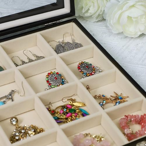 Stratalife 24 Grid Earring Organizer, Jewelry Holder Organizer with Lid - color: Beige-Black, size: 24 Grid