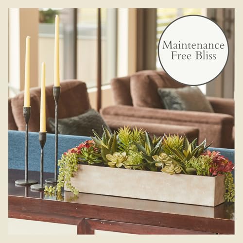 CG Hunter, Oblong Faux Succulent Arrangement, 27 in, Natural, Home Decor - size: 27" Oblong Natural