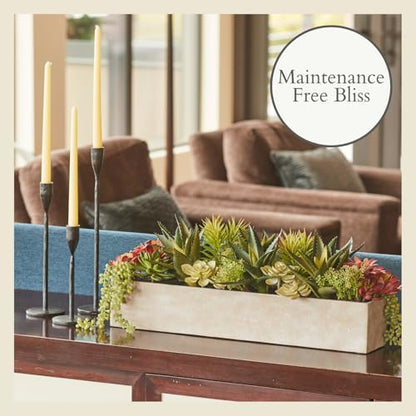 CG Hunter, Oblong Faux Succulent Arrangement, 27 in, Natural, Home Decor - size: 27" Oblong Natural
