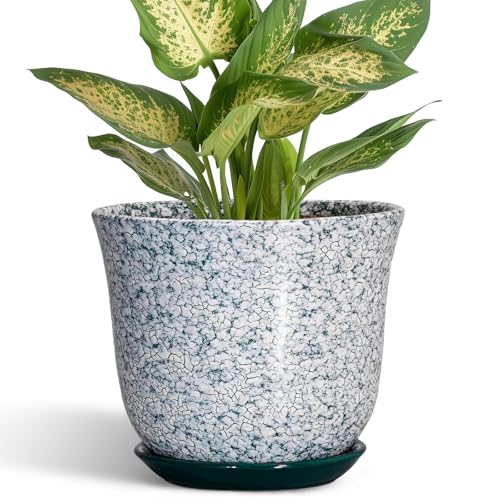 5.6 Inch Plant Pot - Ceramic Plant Pots for Indoor Outdoor, Round Orchid Succulent Pots with Drainage Hole and Saucer, Modern Flower Pot, Home Office Decor, Green-White - color: Crack Blackish Green, size: 6 Inch