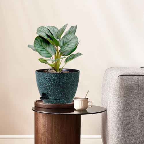 WSMKSZ 10 inch Self Watering Pots, Planter, Plant Pots with Mesh Drainage Holes for Indoor Outdoor House Plants and Garden, 2 Pack Plastic Flower Pots with Reservoir, Black with Green Speckles - color: Black With Green Speckles, size: 10inch 2pcs