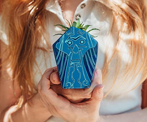 Silver Buffalo Disney Atlantis: The Lost Empire Stone Face 4-Inch Ceramic Mini Planter with Artificial Succulent | Cute Small Flower Pot, Faux Indoor Plants - color: Atlantis