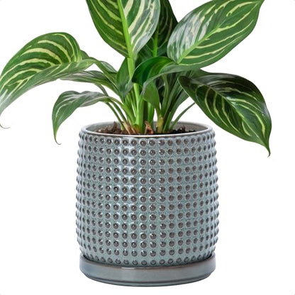 D'vine Dev Beaded Ceramic Pot with Saucer, 6 in, Graphite Blue, 27-C-X-9 - color: Graphite Blue, size: 5.8 Inch