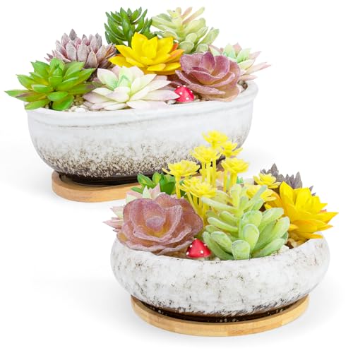 Succulent Pots, 1 Rectangle Planter + 1 Ceramic Bonsai Pots with Drain Tray - color: White